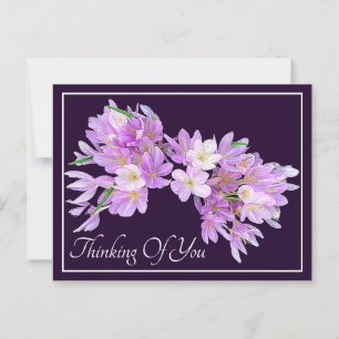 Cartão Postal Crocus Rosa/Roxo Fundo Roxo Pensando Em Você