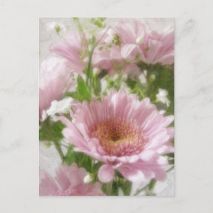 Cartão Postal Crolisântemos Rosa 5 Elegância