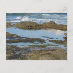 Cartão Postal Cronulla Austrália Fotografia de Viagem Original