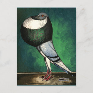 Cartão Postal Cropper Azul Norwich Pied