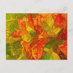 Cartão Postal Croton Variegatum
