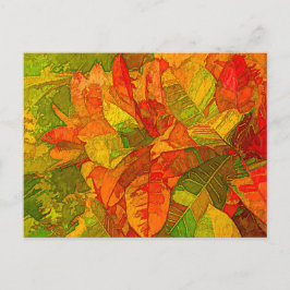 Cartão Postal Croton Variegatum