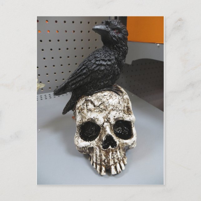 Cartão Postal Crow & Skull (Frente)