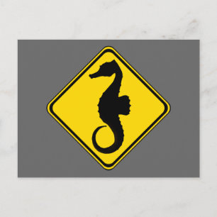 Cartão Postal Cruzamento de Cavalo de Investigação!