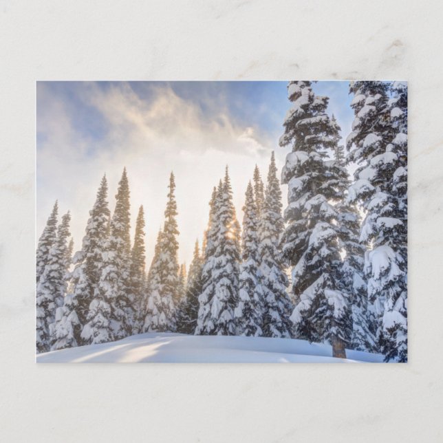 Cartão Postal Crystal Mountain Ski Resort, perto do Monte Rainie (Frente)