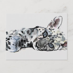 Cartão Postal Cub Leopardo Árabe 2008