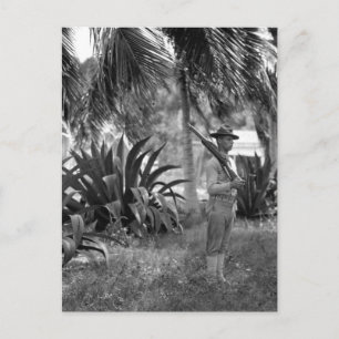 Cartão Postal Cuba, Guantánamo Sentry abaixo da Imagem Palms_War