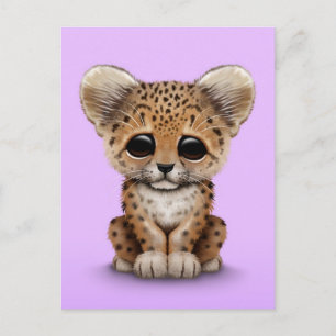 Cartão Postal Cubo-leopardo-de-bebê giro em roxo