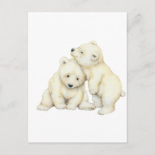Cartão Postal Cubos de Urso Polar