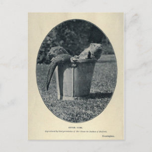 Cartão Postal Cubos externos