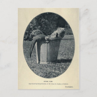 Cartão Postal Cubos externos