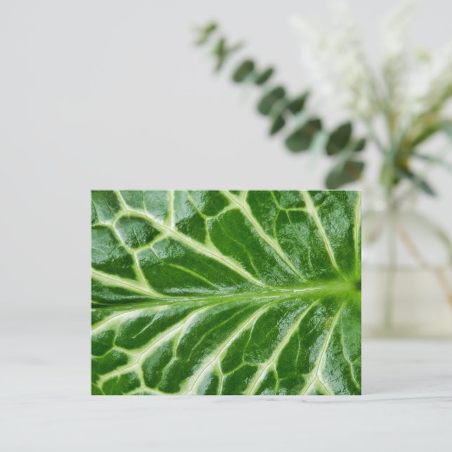 Cartão Postal Cuckoo Pint Plant (Em pé/Frente)