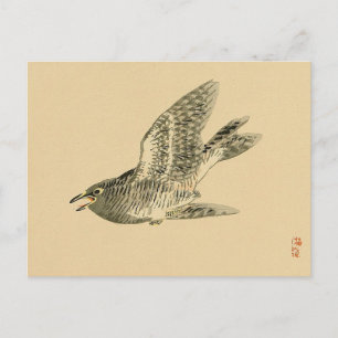 Cartão Postal Cuco (Arte Japonesa) (por Kono Bairei)