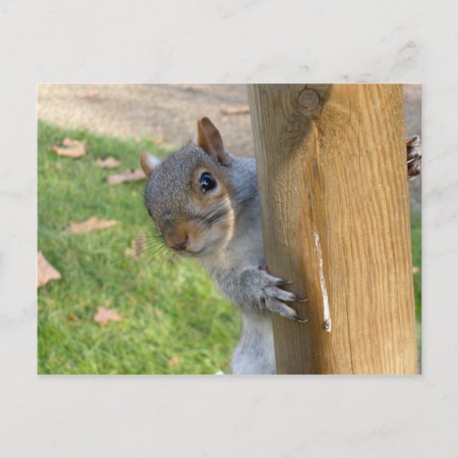 Cartão Postal Cucu! (Frente)