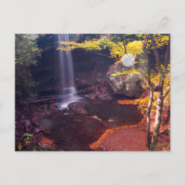 Cartão Postal Cucumber Falls, Parque Estadual de Ohiopyle, Pensi