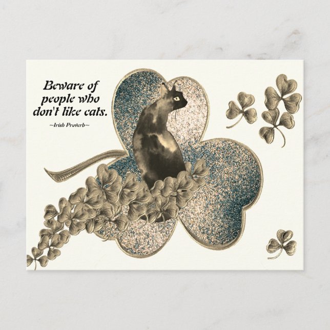 Cartão Postal Cuidado com as Pessoas que não gostam de gatos (Frente)