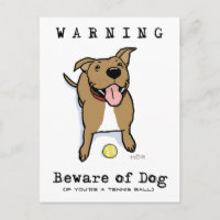 Cuidado com o Cachorro (se você é um tênis)