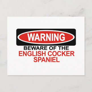 Cartão Postal Cuidado Com O Inglês Cocker Spaniel