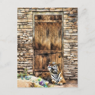 Cartão Postal Cuidado com o Tigre Selvagem de Gato da Casa na Po