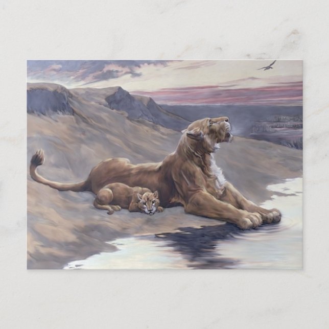 Cartão Postal Cuidados Maternos (Frente)