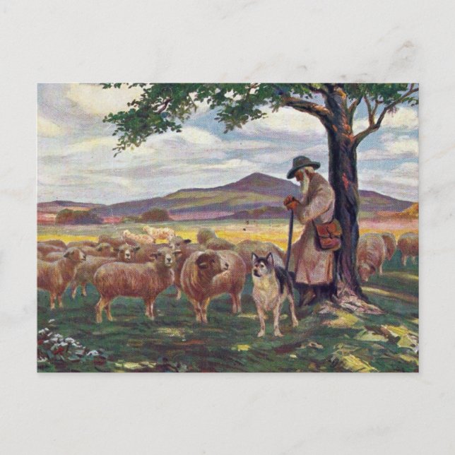 Cartão Postal Cuidando das Ovelhas (Frente)