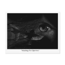 Cuidando dos Pardais Postcrossing Postcard