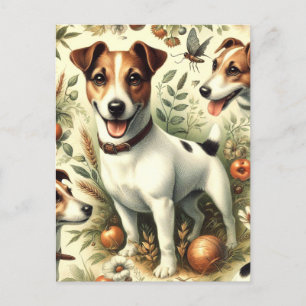 Cartão Postal Cuja Vintage Jack Russell Terrier