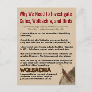 Cartão Postal Culex, Wolbachia e Birds por RoseWrites