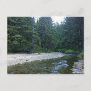 Cartão Postal Cummins Creek no Parque Estadual de Netuno, OR