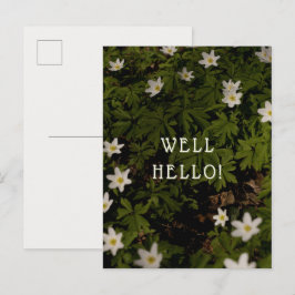 Cartão Postal Cumprimento de bem-vindo à floresta de primavera