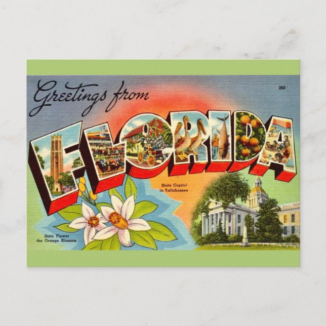 Cartão Postal Cumprimento Vintage Florida (Frente)