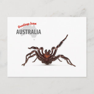 Cartão Postal Cumprimentos de Austrália - aranha da Funil-Web