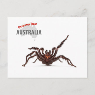 Cartão Postal Cumprimentos de Austrália - aranha da Funil-Web