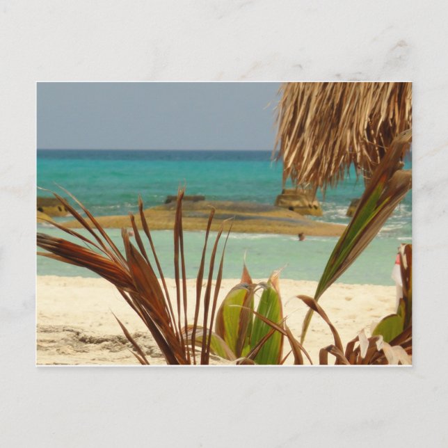 Cartão Postal Cumprimentos do paraíso! (Frente)