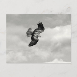 Cartão Postal cunha