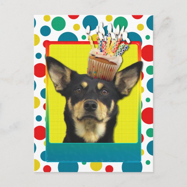 Cartão Postal Cupcake de aniversário - australiano Kelpie - Jude (Frente)