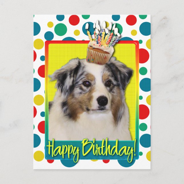 Cartão Postal Cupcake de aniversário - Australiano Shepherd (Frente)