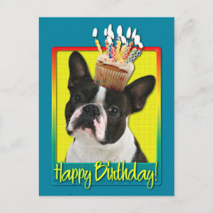 Cartão Postal Cupcake de aniversário - Boston Terrier