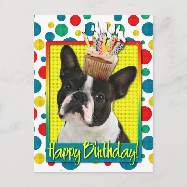 Cartão Postal Cupcake de aniversário - Boston Terrier (Frente)