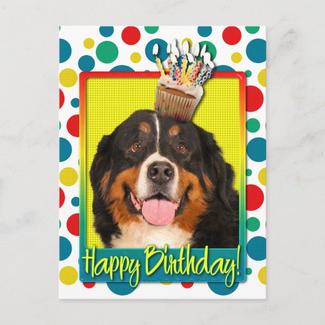 Cartão Postal Cupcake de aniversário - Cão de montanha Bernese (Frente)