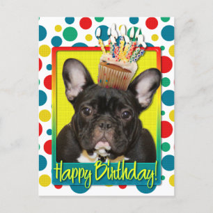 Cartão Postal Cupcake de aniversário - Cão-Grande Francês - Teal