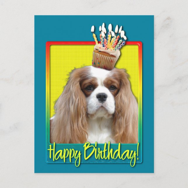 Cartão Postal Cupcake de aniversário - Cavalier - Blenheim (Frente)