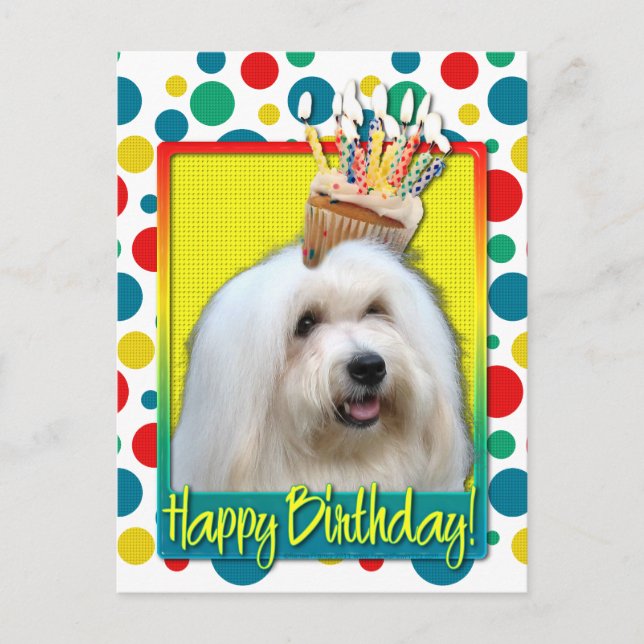 Cartão Postal Cupcake de aniversário - Coton de Tulear (Frente)
