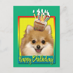 Cartão Postal Cupcake de aniversário Pomeraniano
