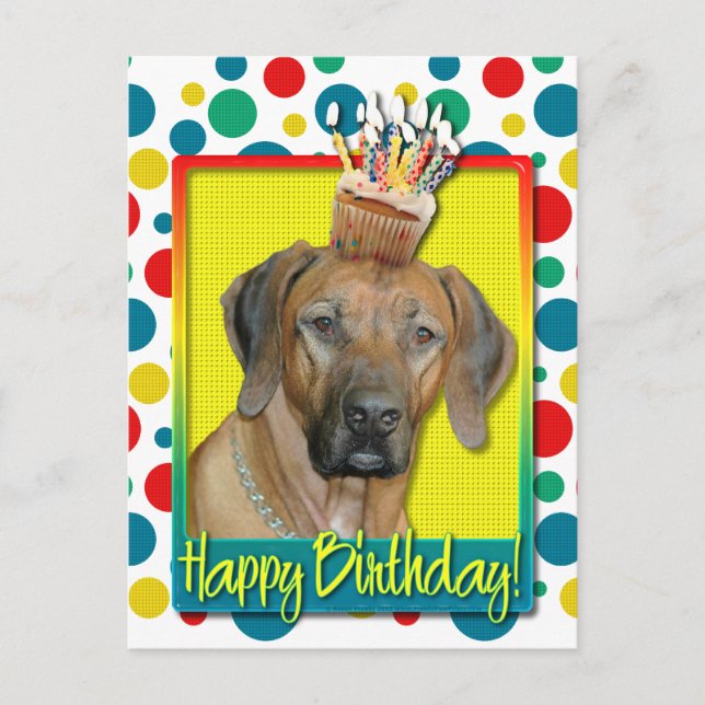 Cartão Postal Cupcake de aniversário - Ridgeback rodesiano (Frente)
