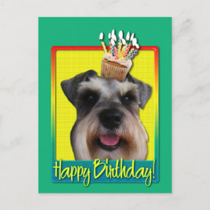 Cartão Postal Cupcake de aniversário - Schnauzer