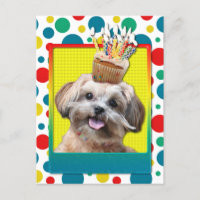 Cupcake de aniversário - ShihPoo - Maggie