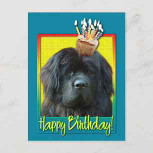Cartão Postal Cupcake de aniversário - Terra Nova