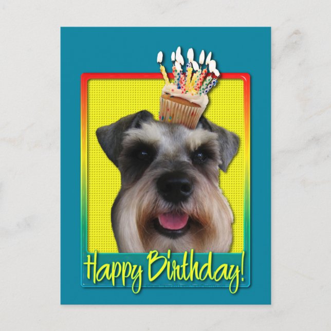 Cartão Postal Cupcake do aniversário - Schnauzer (Frente)
