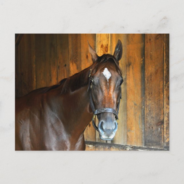 Cartão Postal Curalina (Frente)